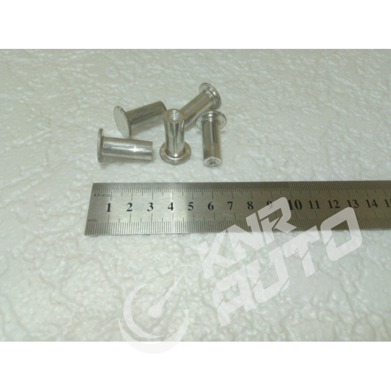 Заклепки тормозные комплект 10х25 (100 шт) FAW / HOWO / FOTON-10x25