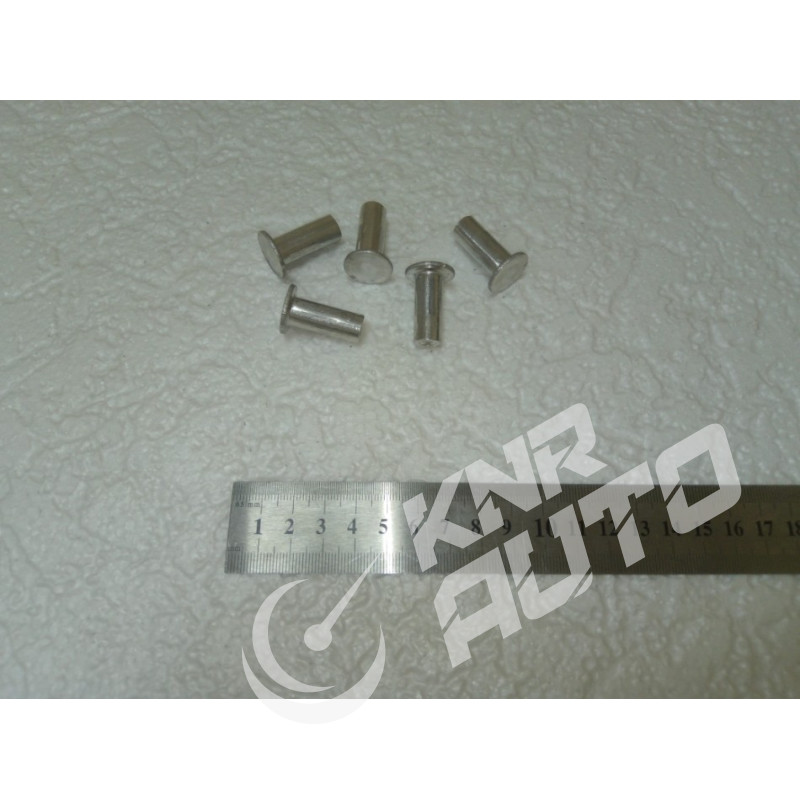 Заклепки тормозные комплект 10х25 (100 шт) FAW / HOWO / FOTON-10x25