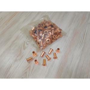 Заклепка тормозной накладки (комплект) WG9231340068 HOWO 10x22