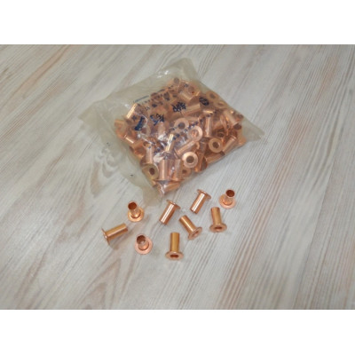 Заклепка тормозной накладки (комплект) WG9231340068 HOWO 10x22
