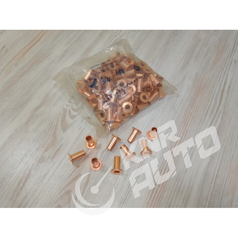 Заклепка тормозной накладки (комплект) WG9231340068 HOWO 10x22-WG9231340068