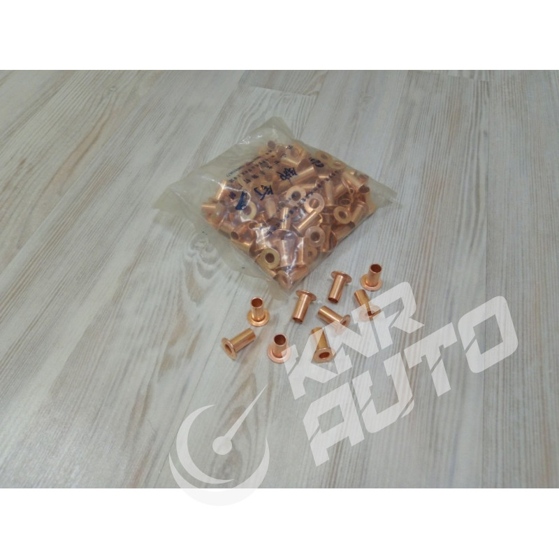 Заклепка тормозной накладки (комплект) WG9231340068 HOWO 10x22-WG9231340068