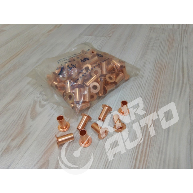 Заклепка тормозной накладки (комплект) WG9231340068 HOWO 10x22-WG9231340068