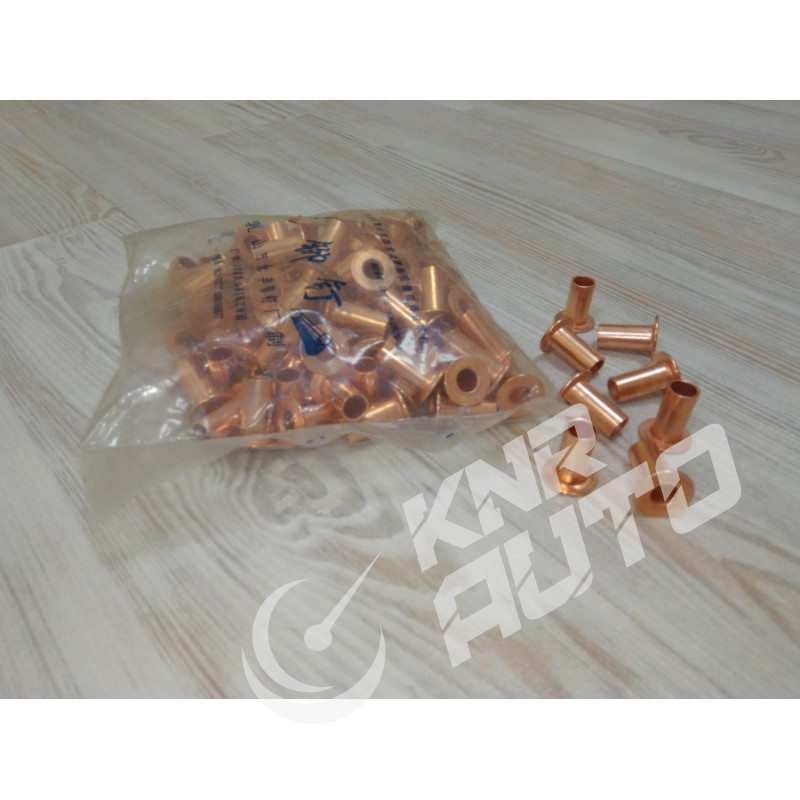 Заклепка тормозной накладки (комплект) WG9231340068 HOWO 10x22-WG9231340068
