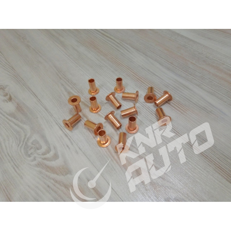 Заклепка тормозной накладки (комплект) WG9231340068 HOWO 10x22-WG9231340068